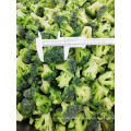 New Crop Frozen Vegetable Broccoli